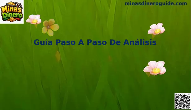 Guía Paso a Paso de Análisis en Minas Dinero