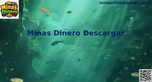 Minas Dinero Banner Oficial