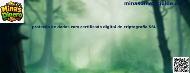 Protección de datos con certificado digital SSL